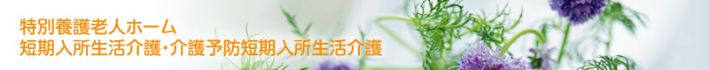 特別養護老人ホーム 短期入所生活介護・介護予防短期入所生活介護