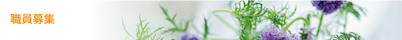 職員募集