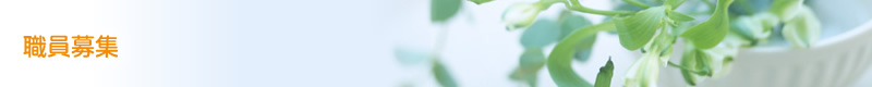 職員募集